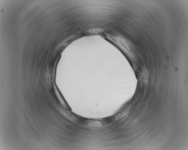 X0000064750572200603131346