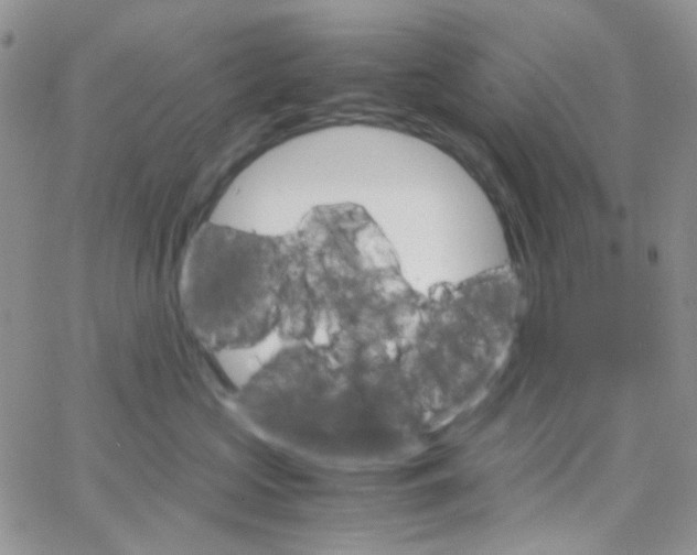 X0000064750573200603131346