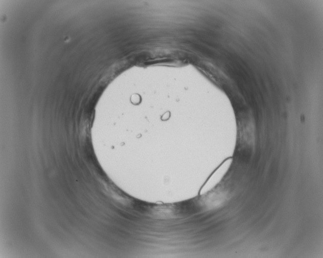 X0000064750574200603131346