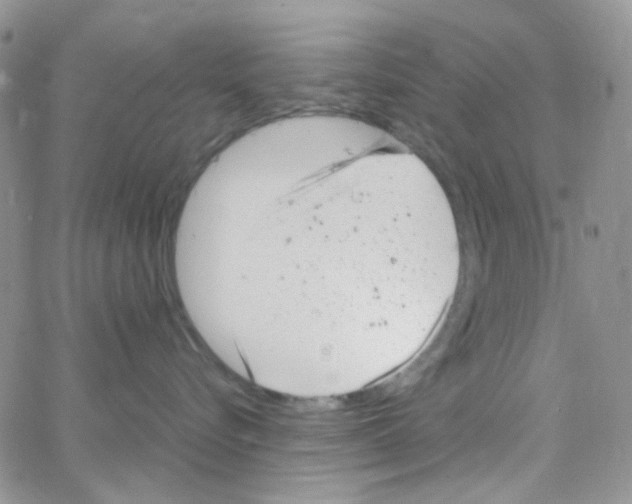 X0000064750576200603131346