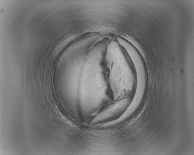 X0000064750577200603131346