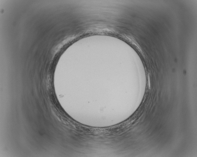 X0000064750579200603131346