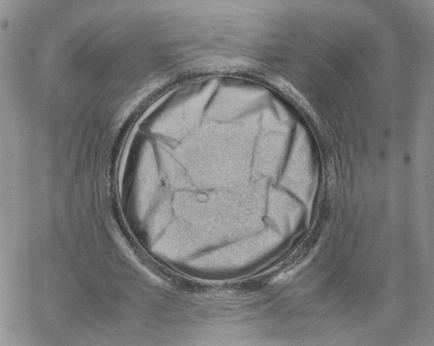 X0000064750581200603131346