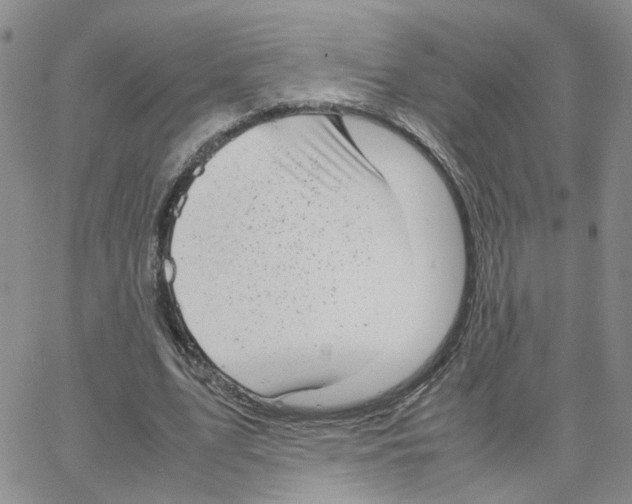 X0000064750583200603131346