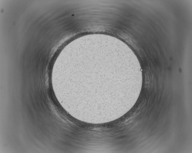 X0000064750584200603131345