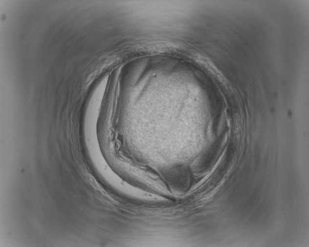 X0000064750585200603131345