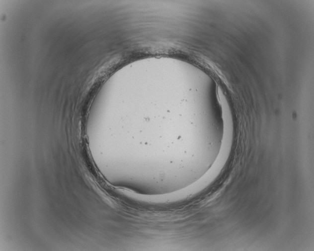 X0000064750589200603131345