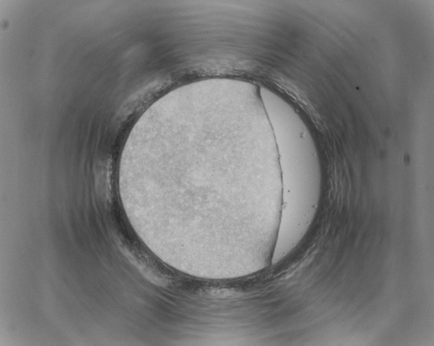 X0000064750590200603131345