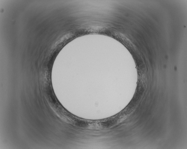 X0000064750591200603131345