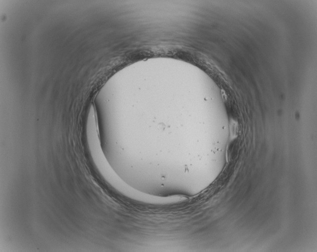 X0000064750593200603131345