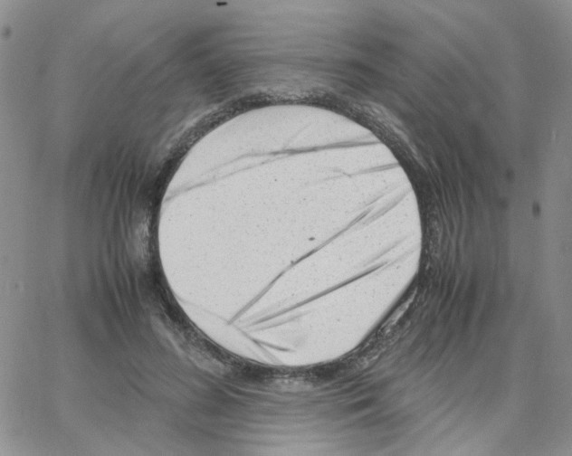 X0000064750596200603131345