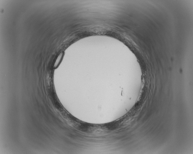 X0000064750597200603131345