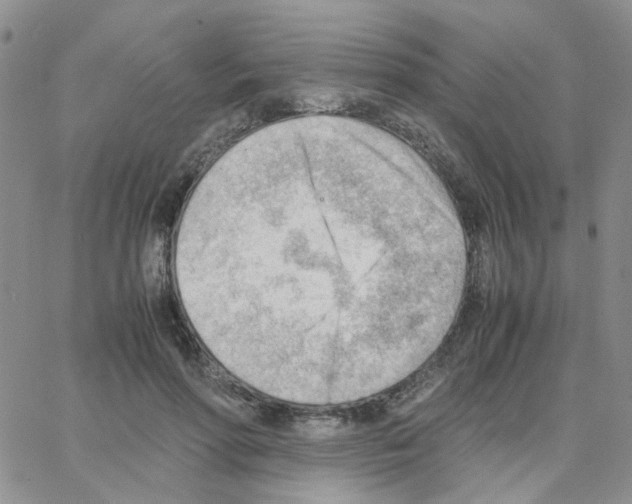 X0000064750598200603131345