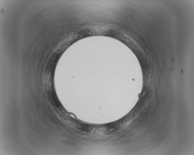 X0000064750599200603131345