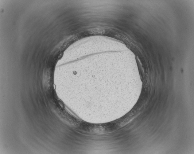 X0000064750600200603131345