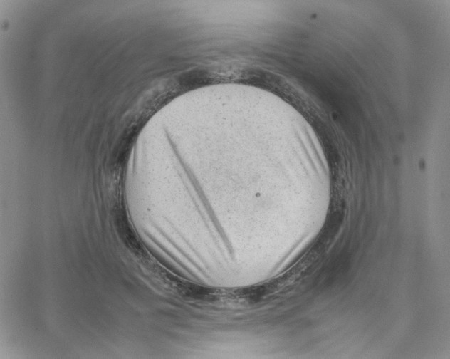 X0000064750601200603131345