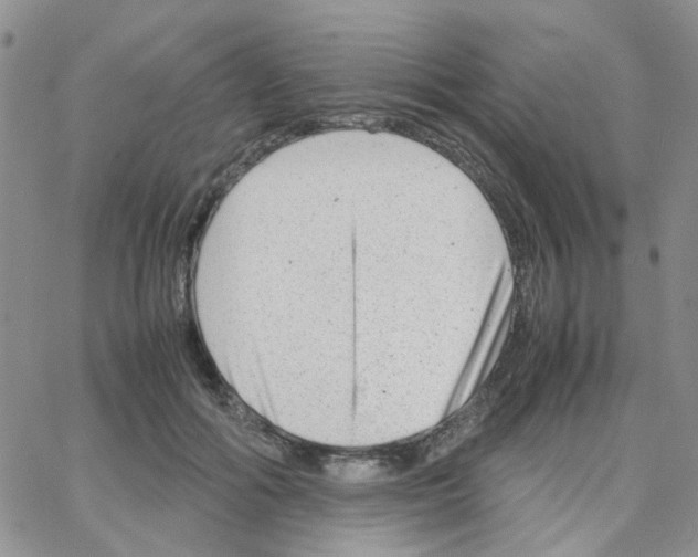 X0000064750602200603131345