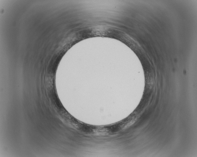 X0000064750603200603131345