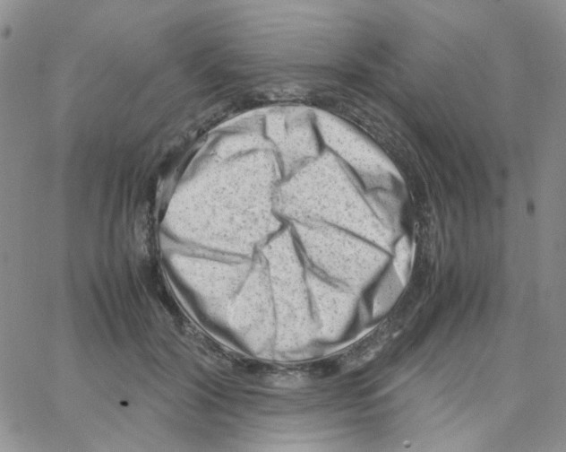 X0000064750604200603131345