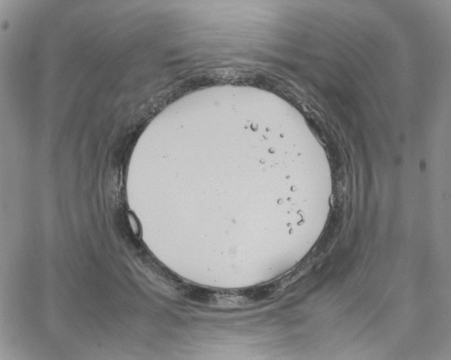 X0000064750605200603131345