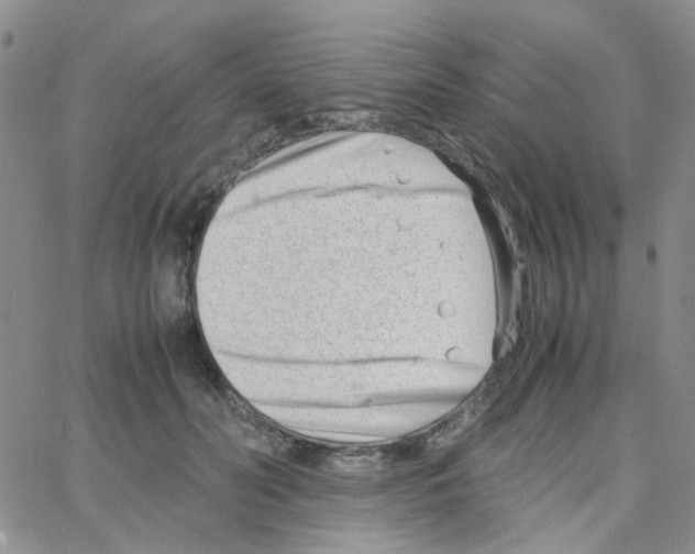 X0000064750606200603131345