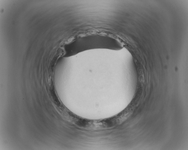 X0000064750607200603131345