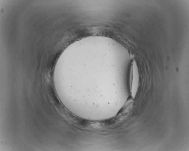 X0000064750611200603131345