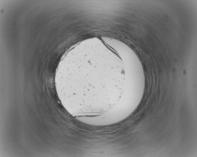 X0000064750613200603131345