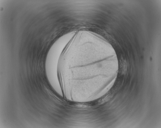 X0000064750614200603131345