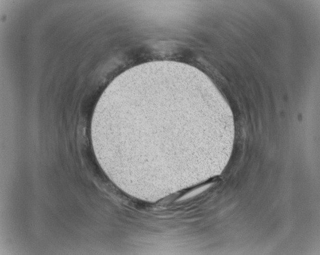 X0000064750615200603131345