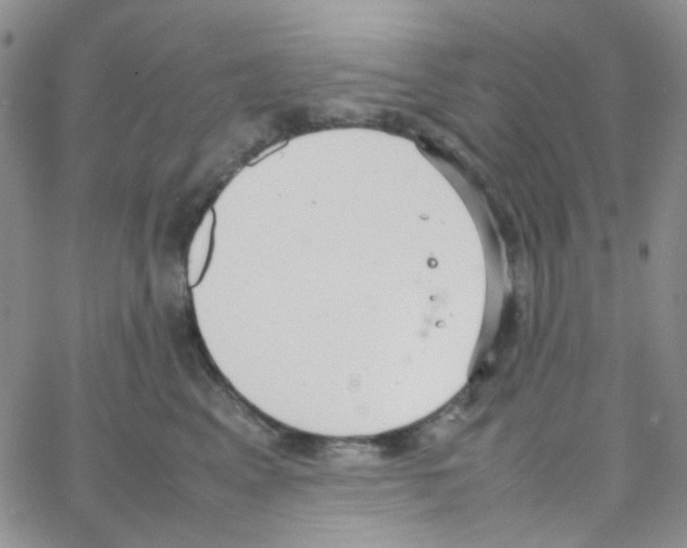 X0000064750617200603131345