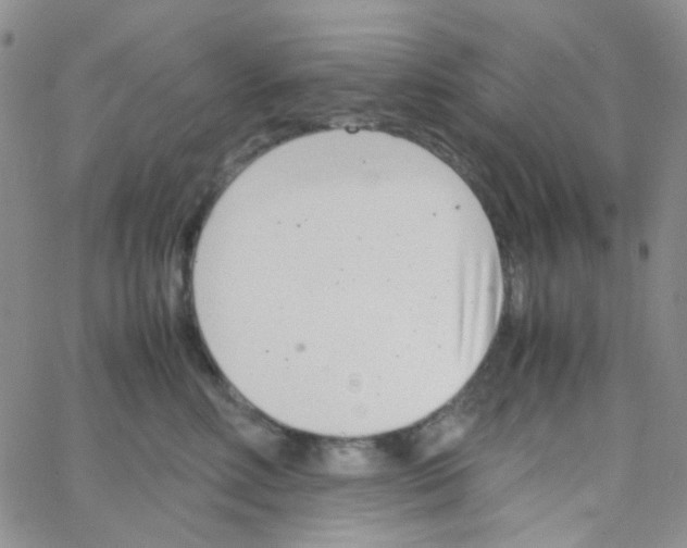 X0000064750618200603131345