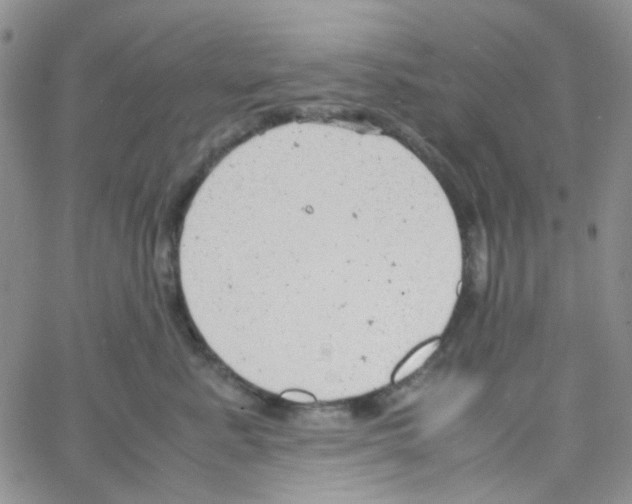 X0000064750619200603131345