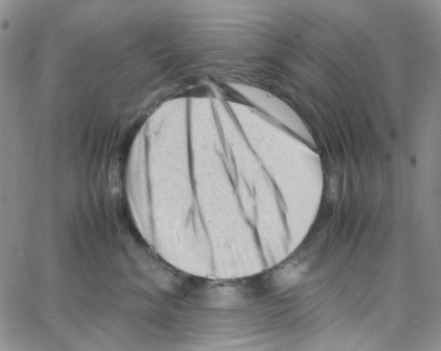 X0000064750620200603131345