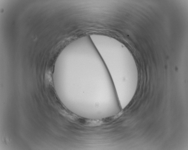 X0000064750621200603131345