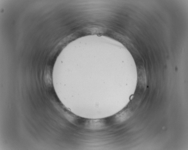 X0000064750622200603131345