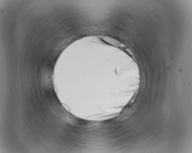 X0000064750624200603131345