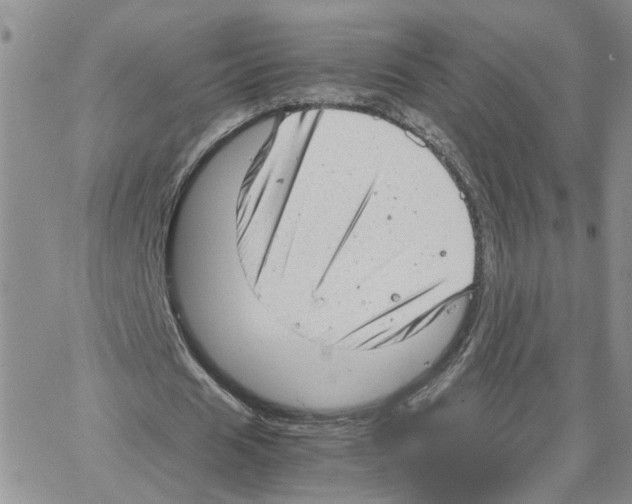 X0000064750625200603131344