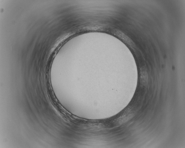 X0000064750626200603131344