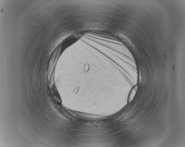 X0000064750627200603131344