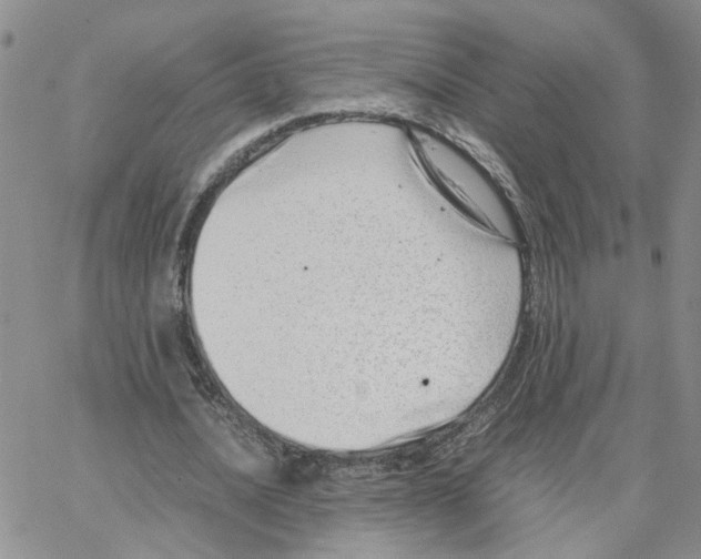 X0000064750628200603131344