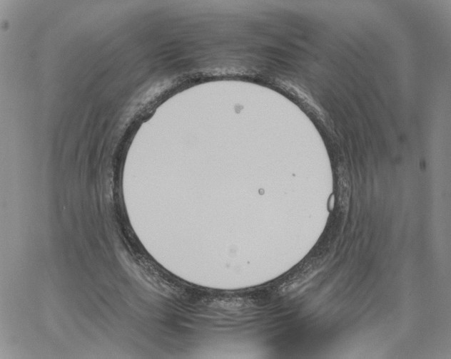 X0000064750631200603131344