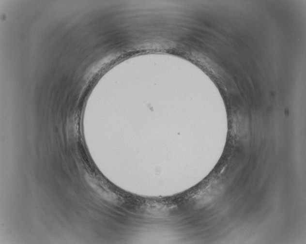 X0000064750632200603131344