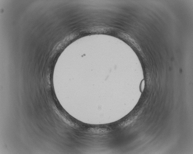 X0000064750633200603131344