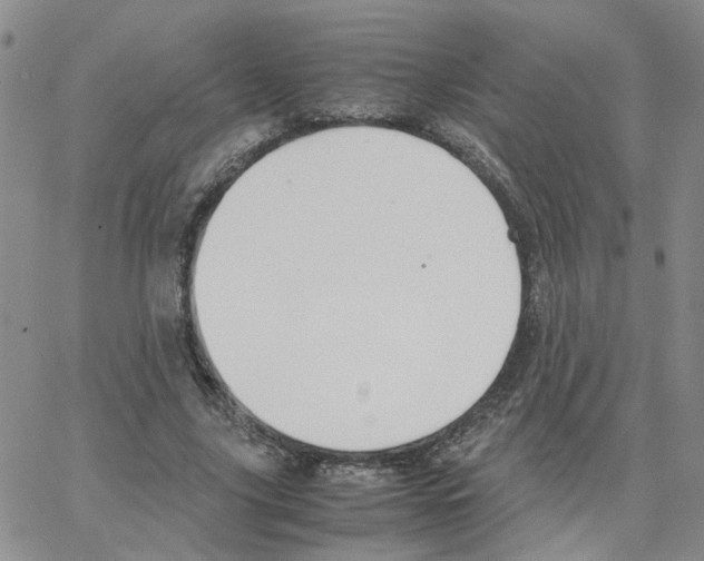 X0000064750635200603131344