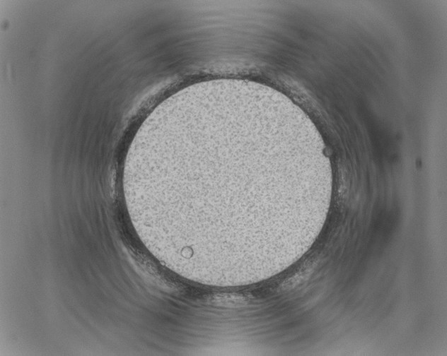 X0000064750636200603131344