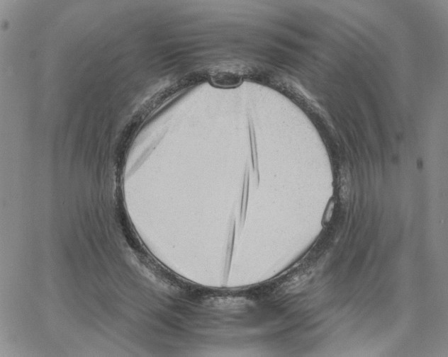 X0000064750637200603131344