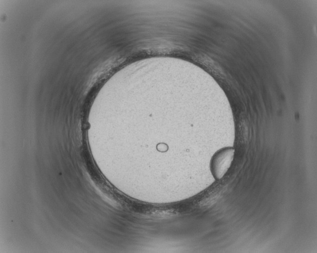 X0000064750638200603131344