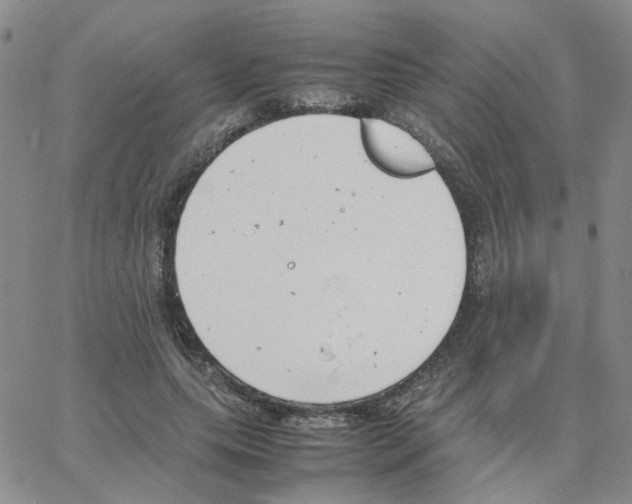 X0000064750639200603131344