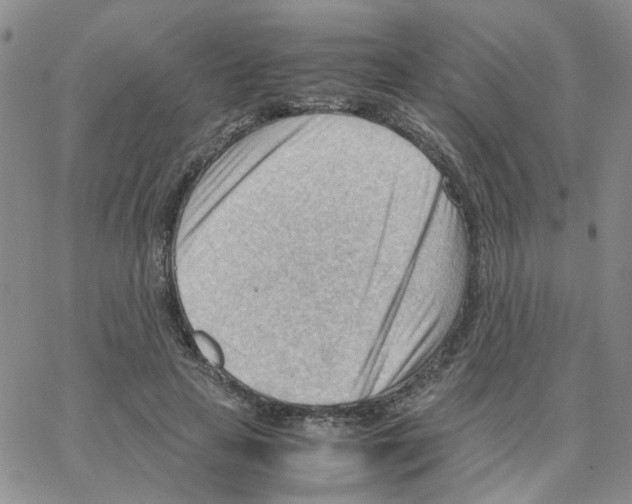 X0000064750641200603131344